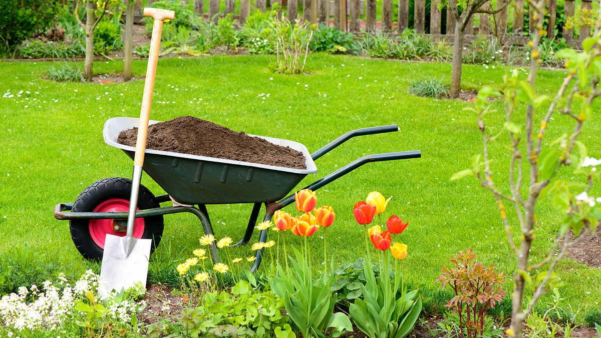 best compost for lawns