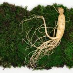 How to Grow Ginseng