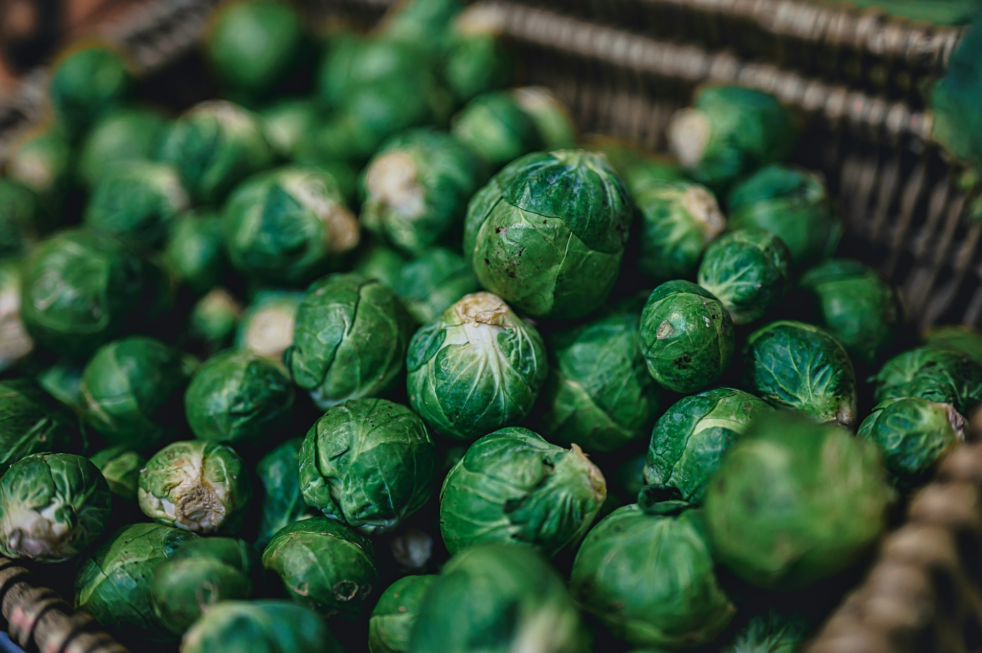 how long do brussel sprouts take to grow