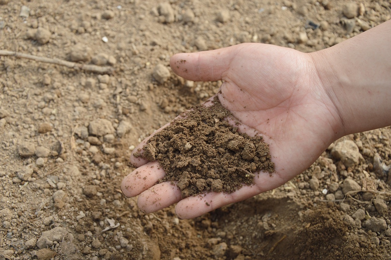 alluvial soil definition