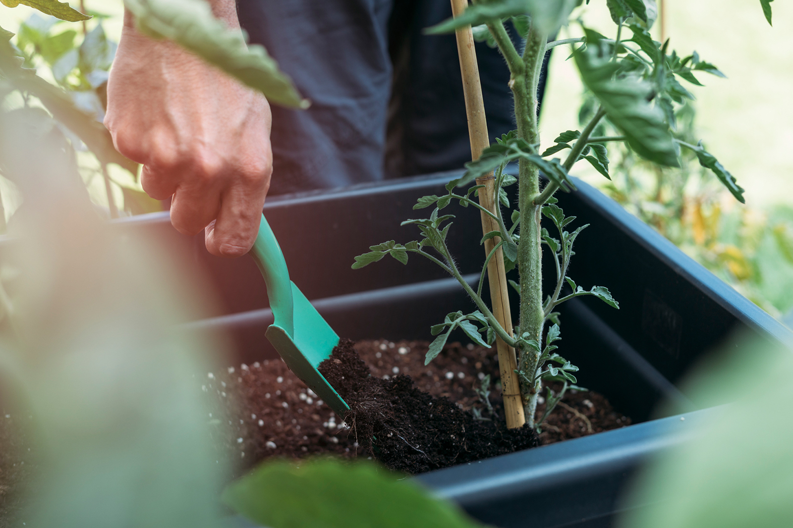 acidic fertilizer brands