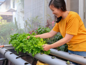 best water chiller for hydroponics