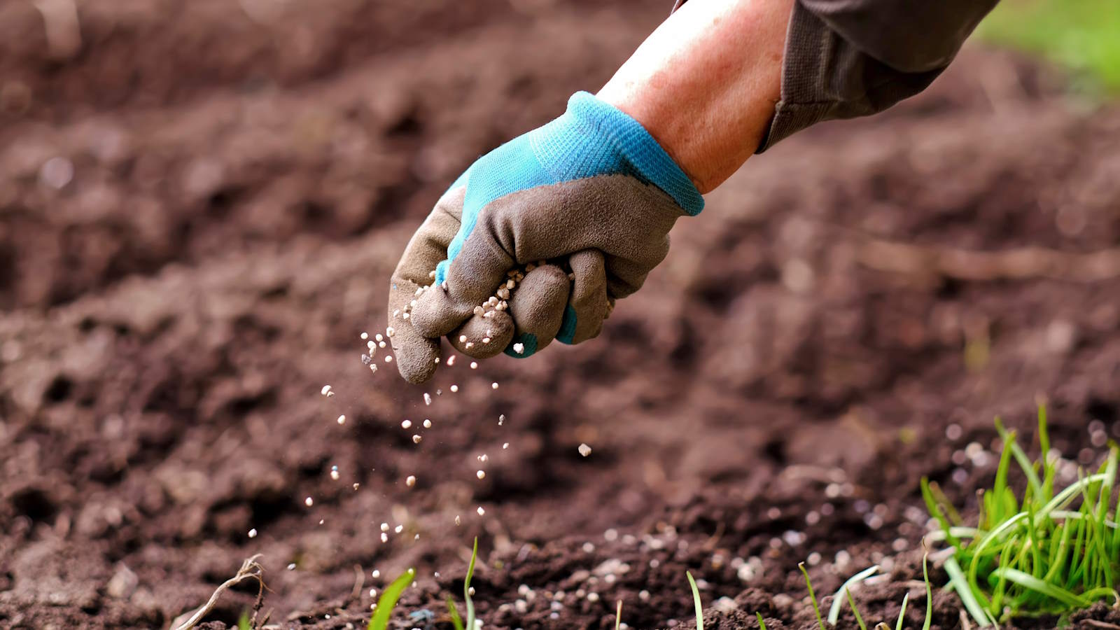 The Advantages of Using Synthetic Fertilizers in Modern Agriculture
