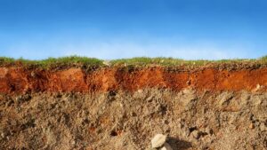 best grass for clay soil in tennessee