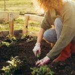How to Fertilize a Garden Cheaply