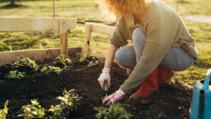 How to Fertilize a Garden Cheaply