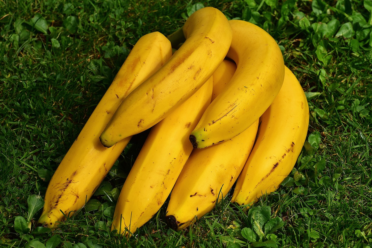 banana seeds for planting