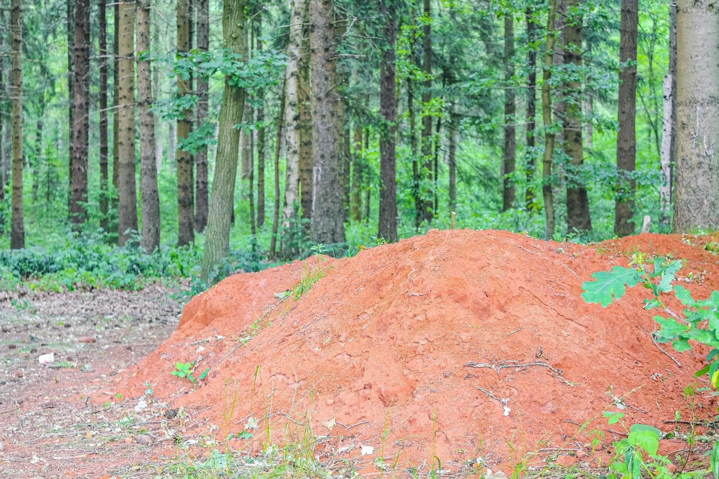 where is clay soil found