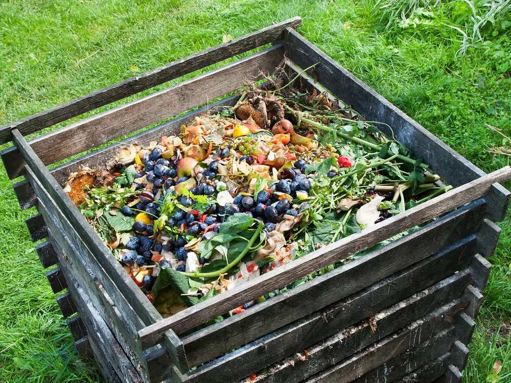 benefits of a compost bin