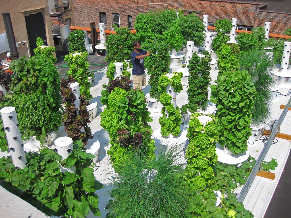 aeroponic hydroponic system