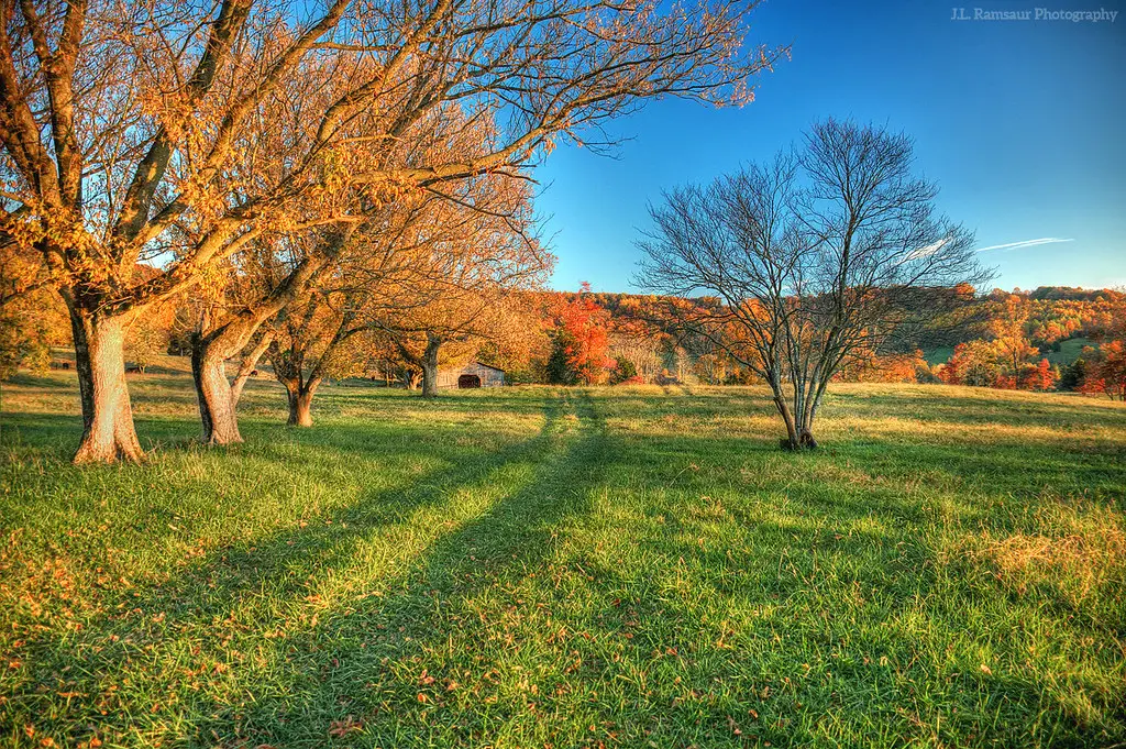 types of grass in tennessee