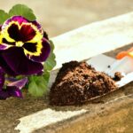 best acidic potting soil