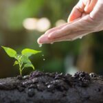 benefits of soil based probiotics