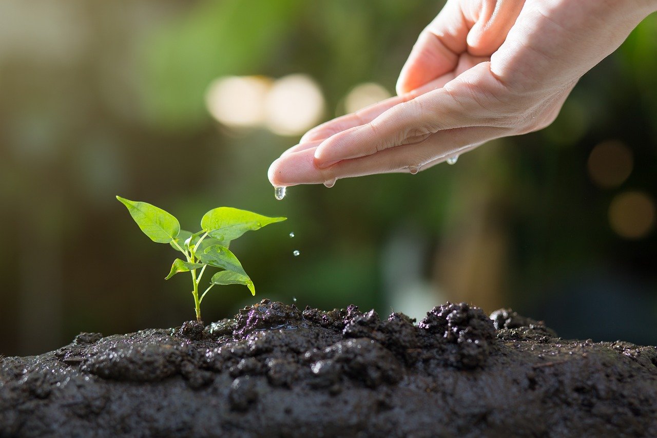benefits of soil based probiotics