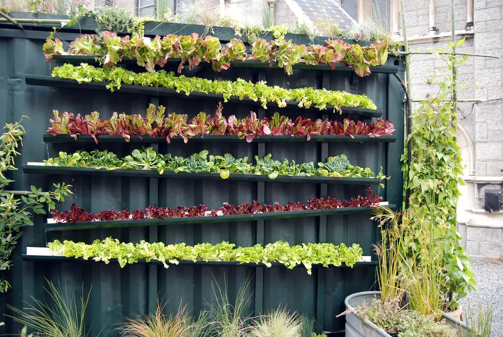 10 Backyard Vertical Garden Ideas for Small Spaces