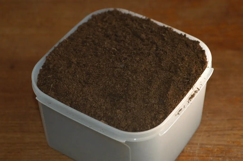 Best Soil for Growing Herbs Indoors: A Comprehensive Guide