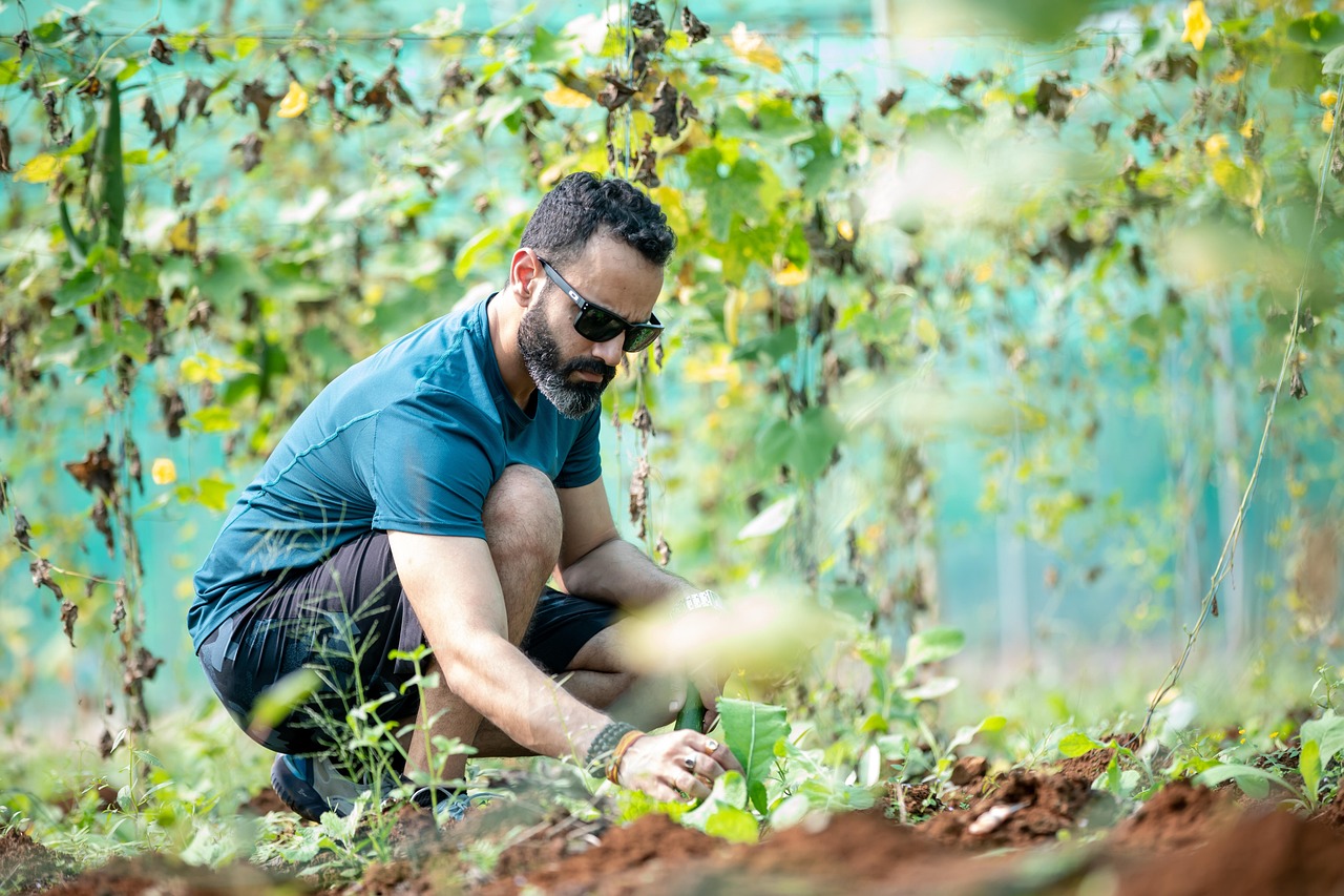 How to start a garden with no experience?