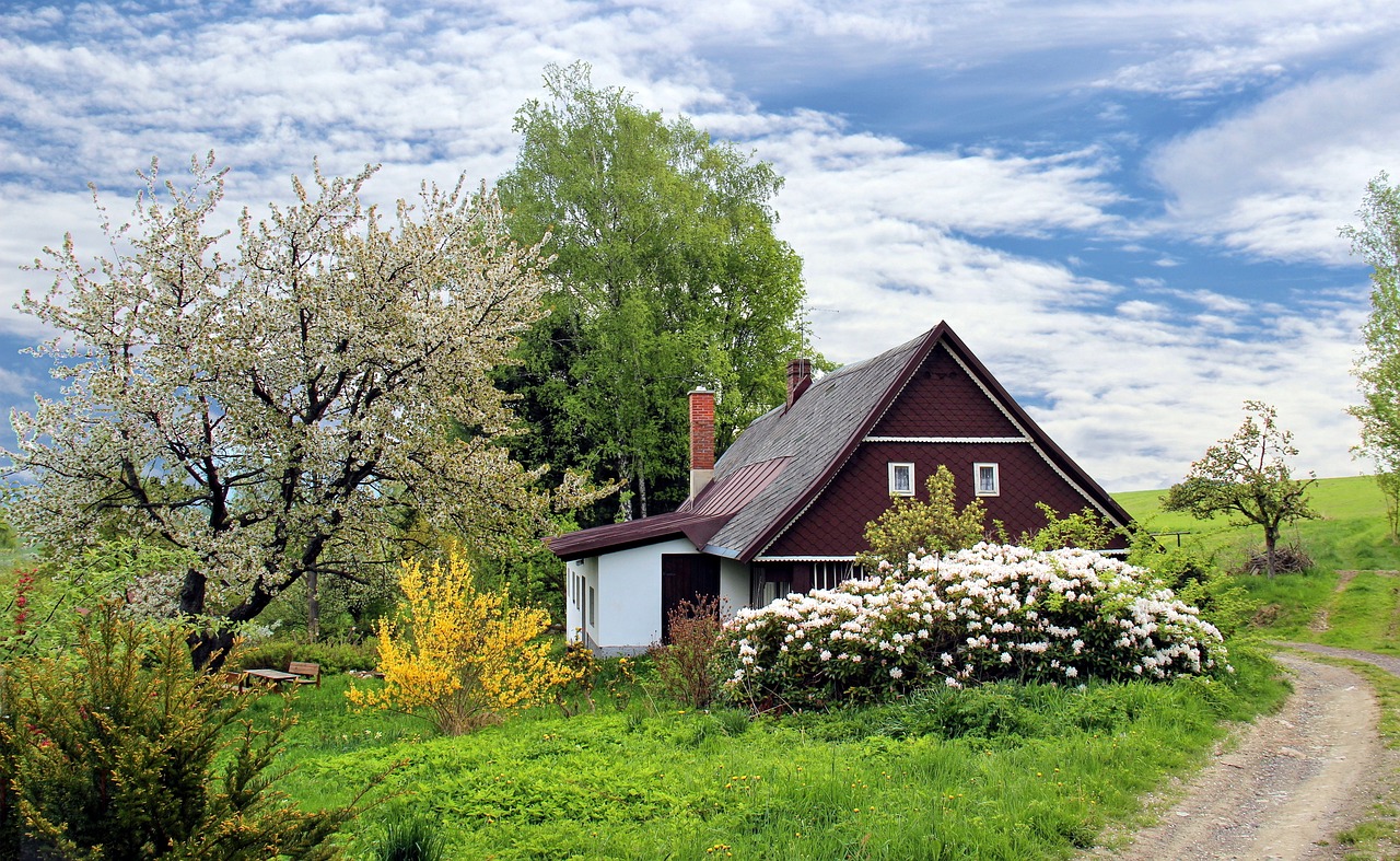10 Fall Garden Clean-Up Tasks You Shouldn’t Skip