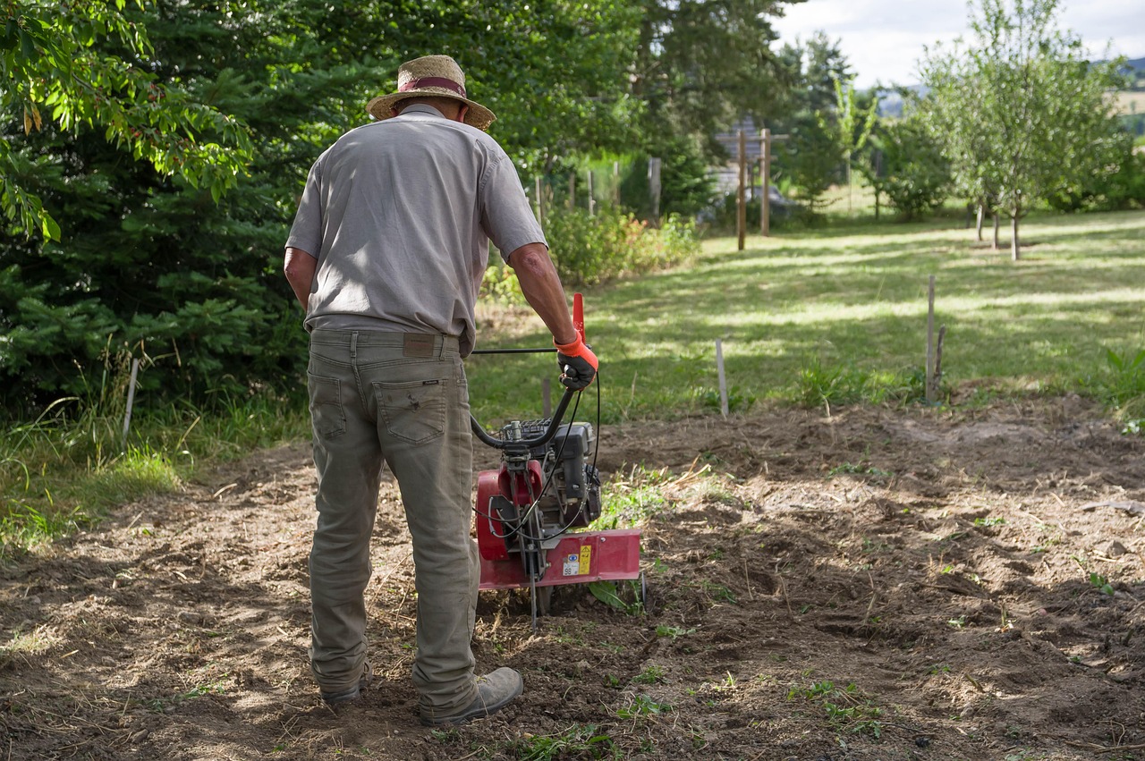 What is the rule of 3 in gardening?