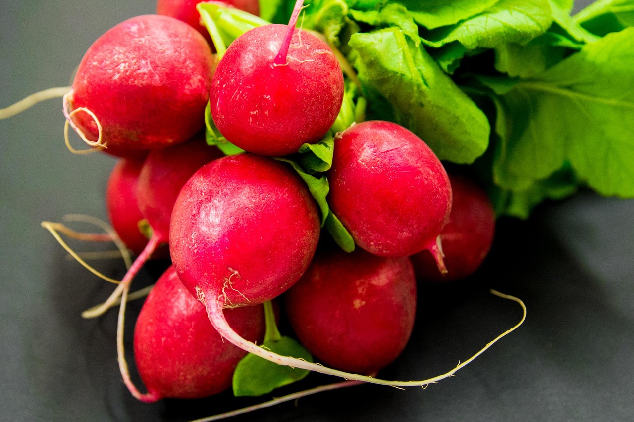 10 Easiest Vegetables to Grow for First-Time Gardeners