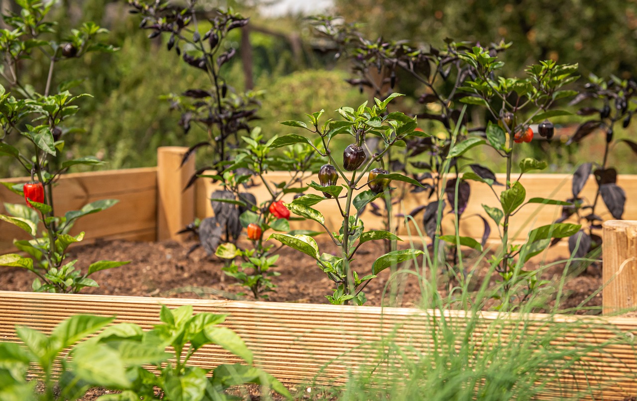 9 Creative Raised Bed Ideas for Any Budget