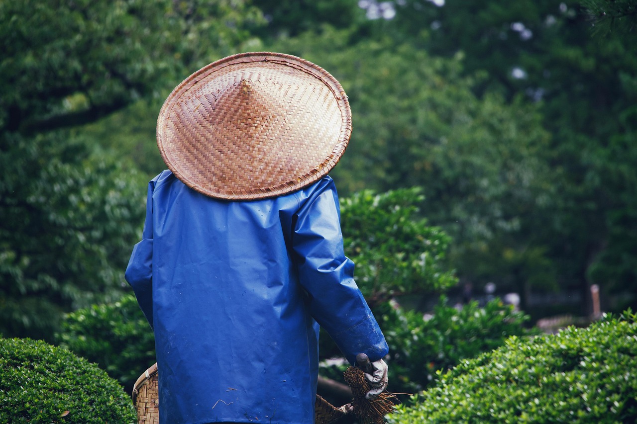15 Common Gardening Mistakes (and How to Avoid Them)