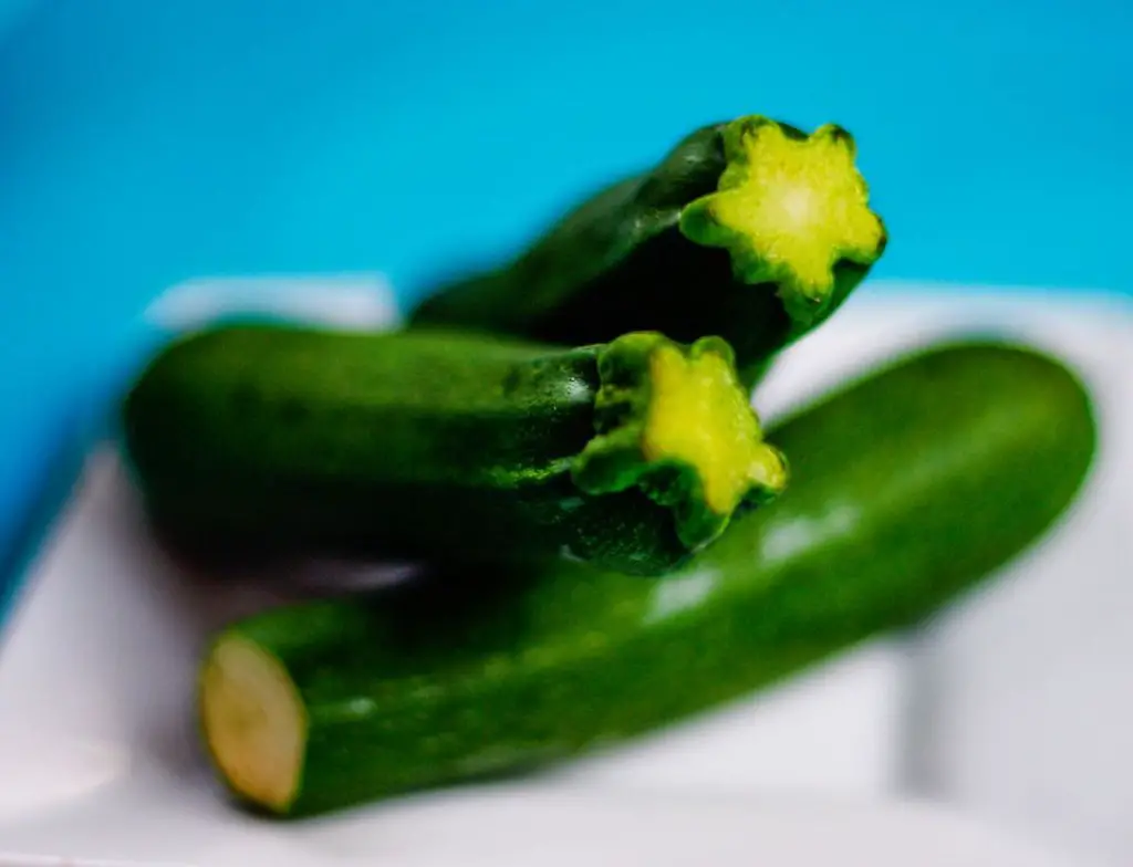 7 High-Yield Crops That Cut Grocery Costs Fast