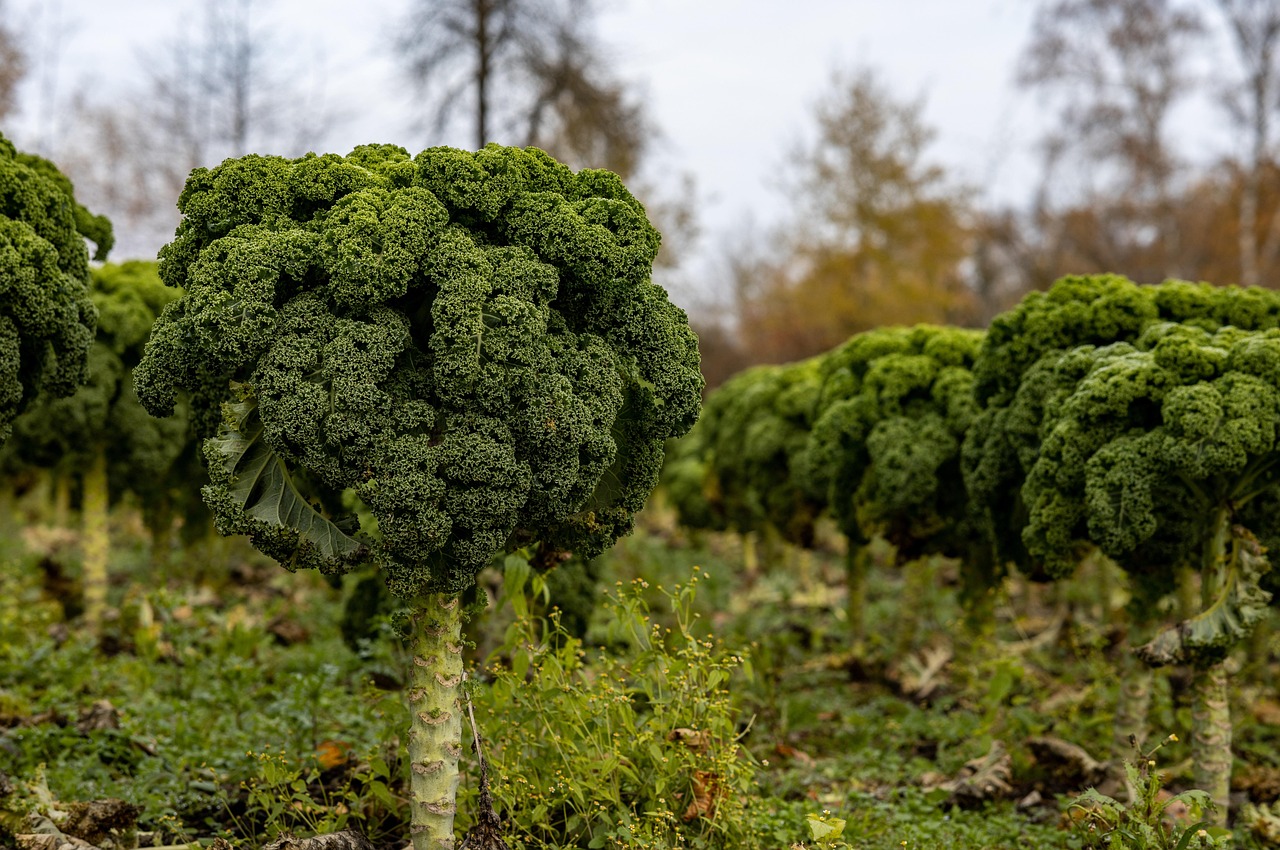 7 Crops That Practically Pay for Themselves During a Recession