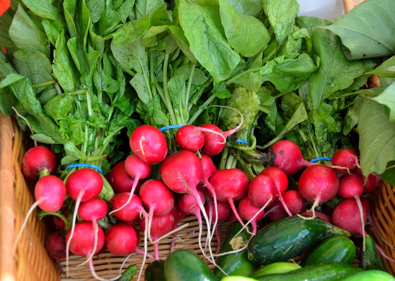Grow Your Own Food: 9 Easy Crops to Start in a Crisis