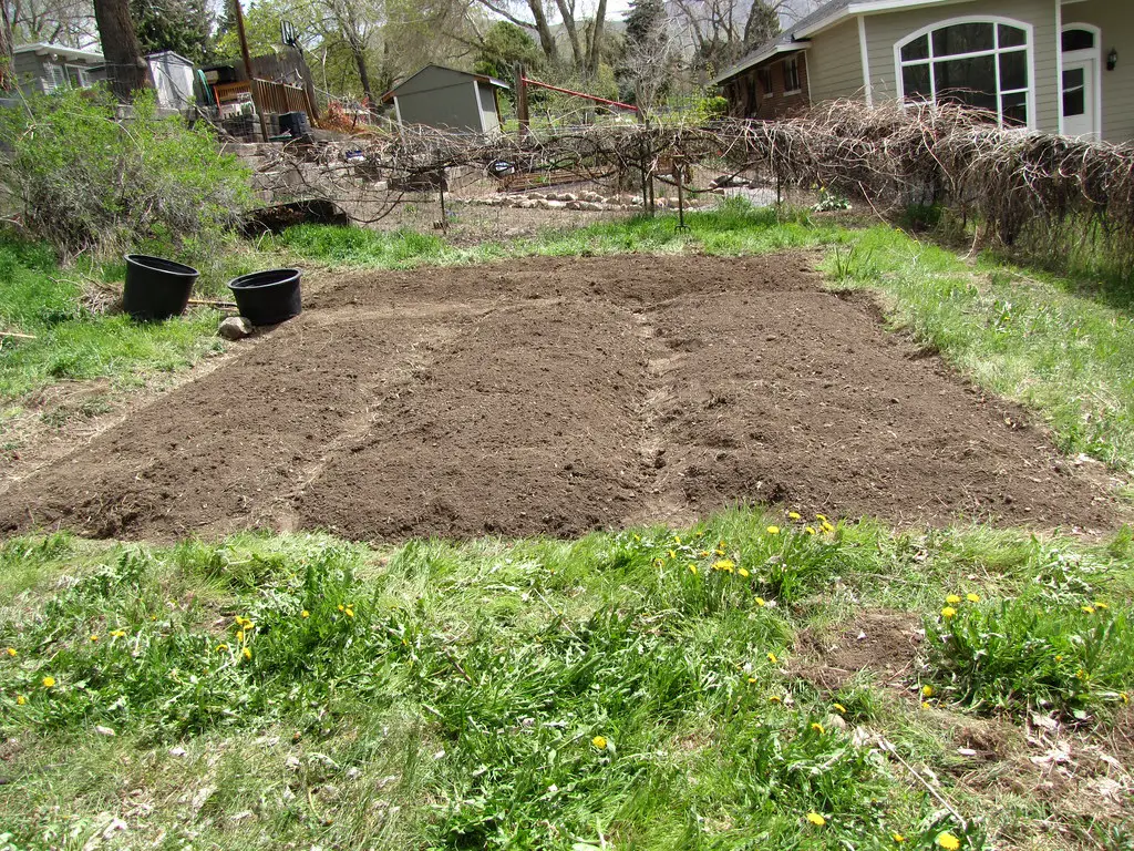 What’s the Best Soil for Your Garden? Here’s How to Choose