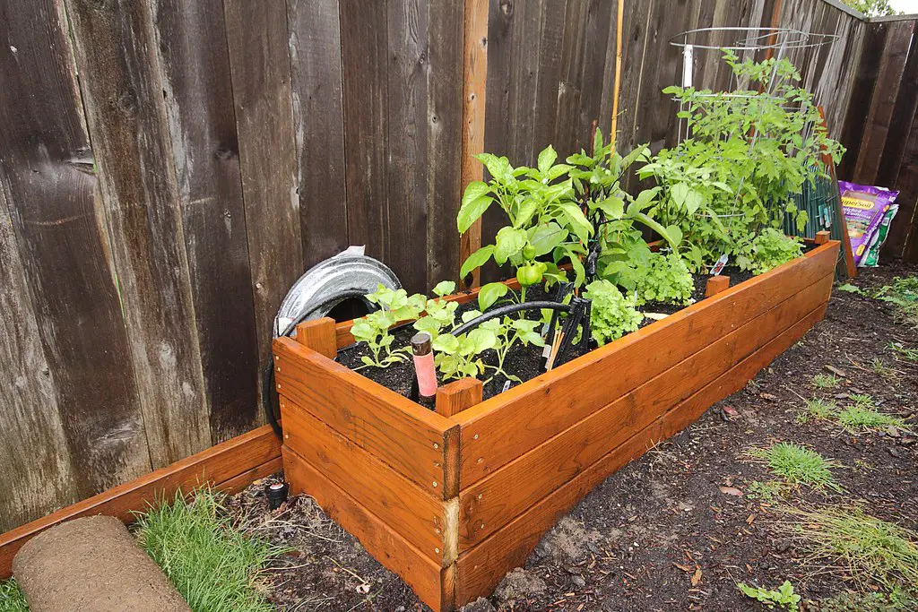 How to Build a Simple Raised Garden Bed (Step-by-Step)