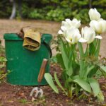 10 Gardening Habits That Are Hurting Your Plants, According to Horticulturists