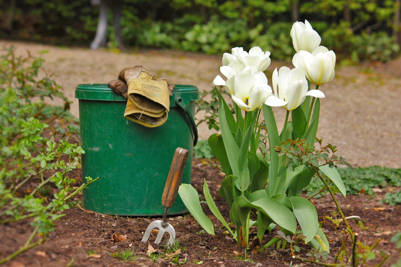 10 Gardening Habits That Are Hurting Your Plants, According to Horticulturists
