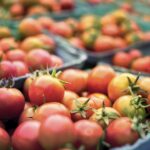 Best Soil for Growing Tomatoes: A Comprehensive Guide