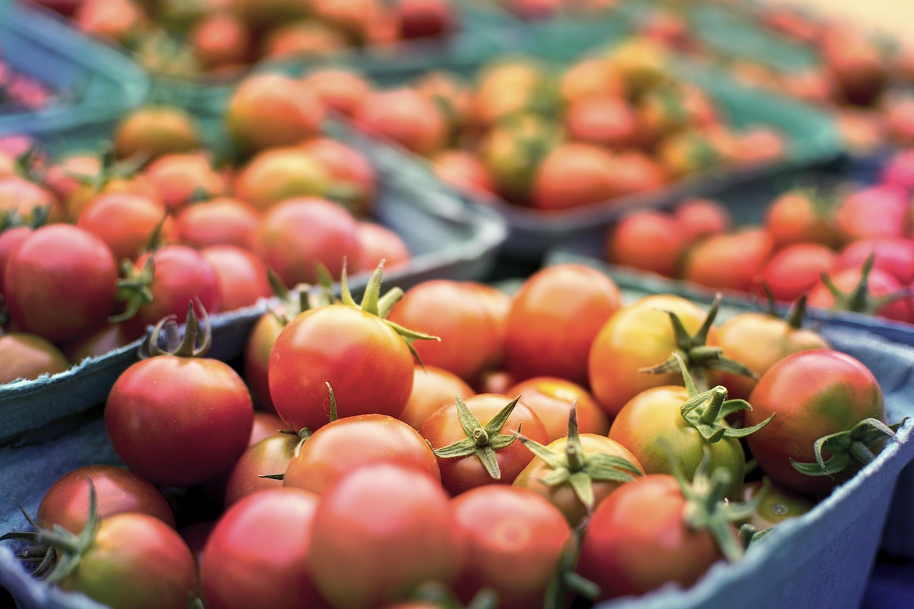 Best Soil for Growing Tomatoes: A Comprehensive Guide