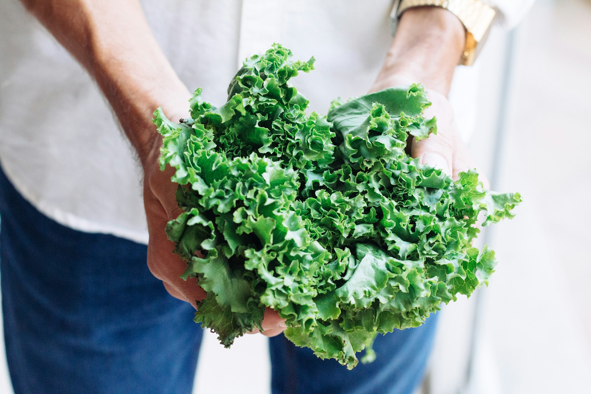 What to Plant in Each Season: Your Month-by-Month Gardening Calendar