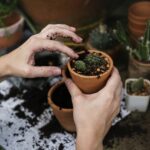 The Science of Soil Health: How to Test and Improve Your Garden Soil
