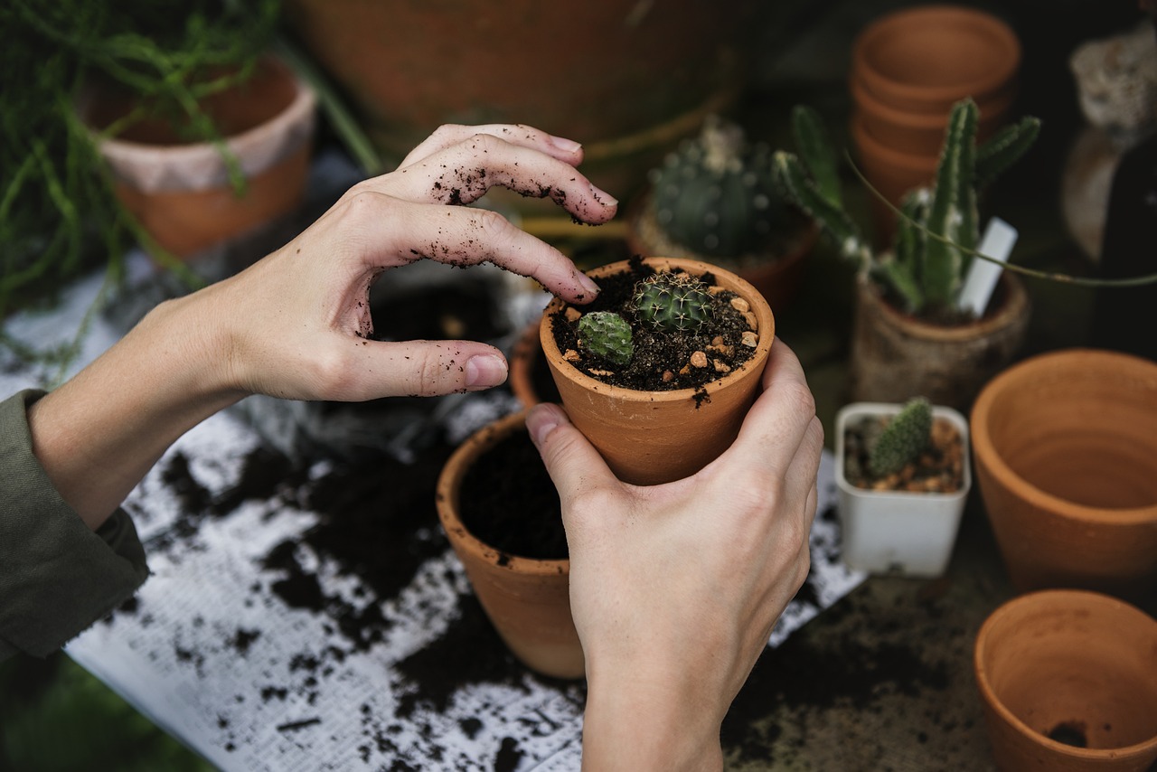 The Science of Soil Health: How to Test and Improve Your Garden Soil