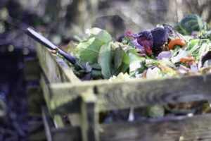 Home 1 Best Fertilizers for Vegetable Gardens Backed by Horticulture Research