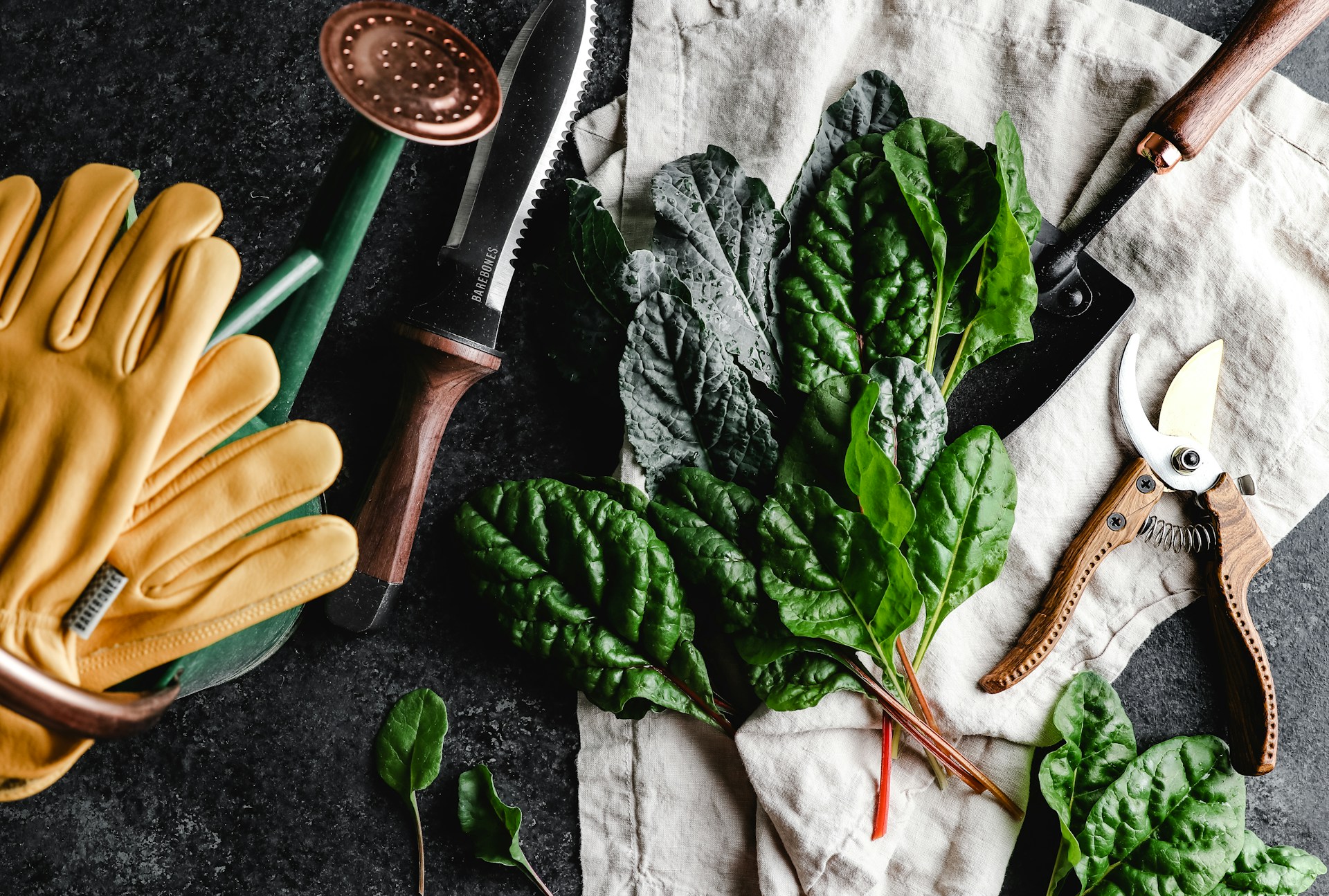 Essential Gardening Tools Every Beginner Needs (and How to Use Them)