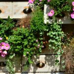 The Beginner’s Guide to Starting a Balcony Garden From Scratch
