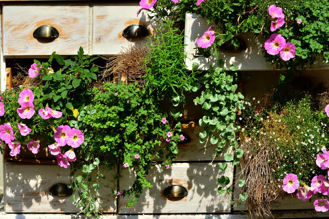The Beginner’s Guide to Starting a Balcony Garden From Scratch