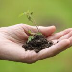 Home 9 Lessons From My First Year of Organic Gardening