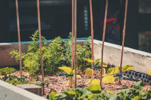 Home 17 My Step-by-Step Process for Building a Raised Garden Bed on a Budget