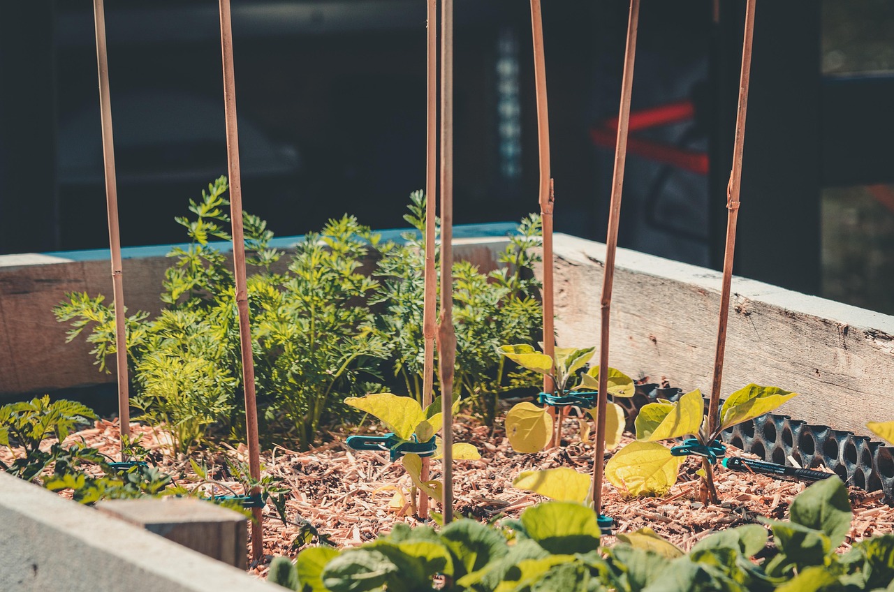My Step-by-Step Process for Building a Raised Garden Bed on a Budget