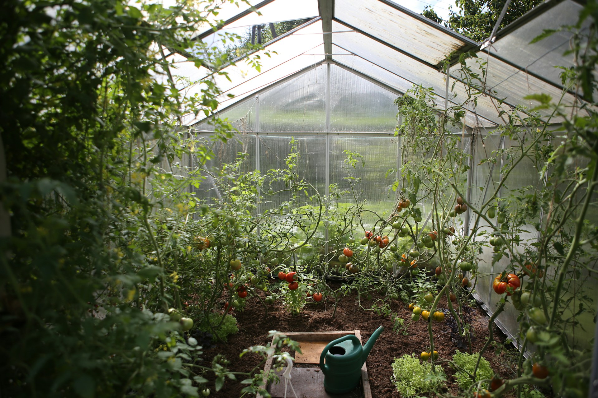 The Best Soil Types for Healthy Plants (and How to Improve Yours)